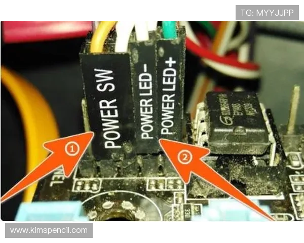 如何正确接好老虎机里面的线,详细步骤让你轻松掌握线的连接方法 如何正确接好老虎机里面的线,详细步骤让你轻松掌握线的连接方法